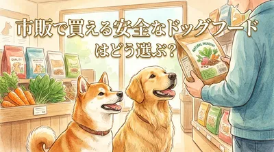 市販で買える安全なドッグフードはどう選ぶ？
