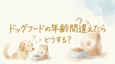 ドッグフードの年齢間違えたらどうする？