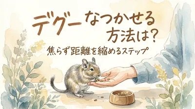 デグー なつかせる 方法は？焦らず距離を縮めるステップ
