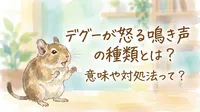 デグーが怒る鳴き声の種類とは？意味や対処法って？