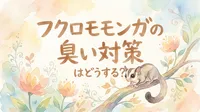 フクロモモンガの臭い対策はどうする？