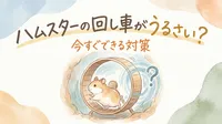 ハムスターの回し車がうるさい？今すぐできる対策とは