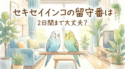 セキセイインコの留守番は2日間まで大丈夫？